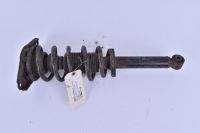 Federbein Stossd?mpfer  Hinten Links oder Rechts<br>NISSAN PRIMERA KOMBI (WP12) 1.8